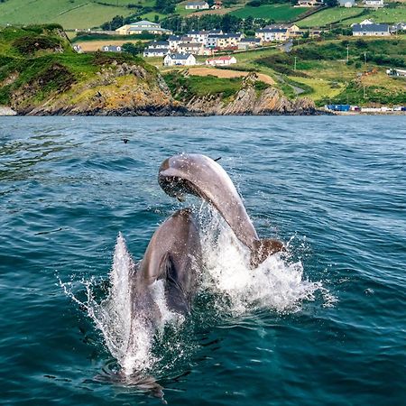 Vila Realt Na Mara Killybegs Exteriér fotografie