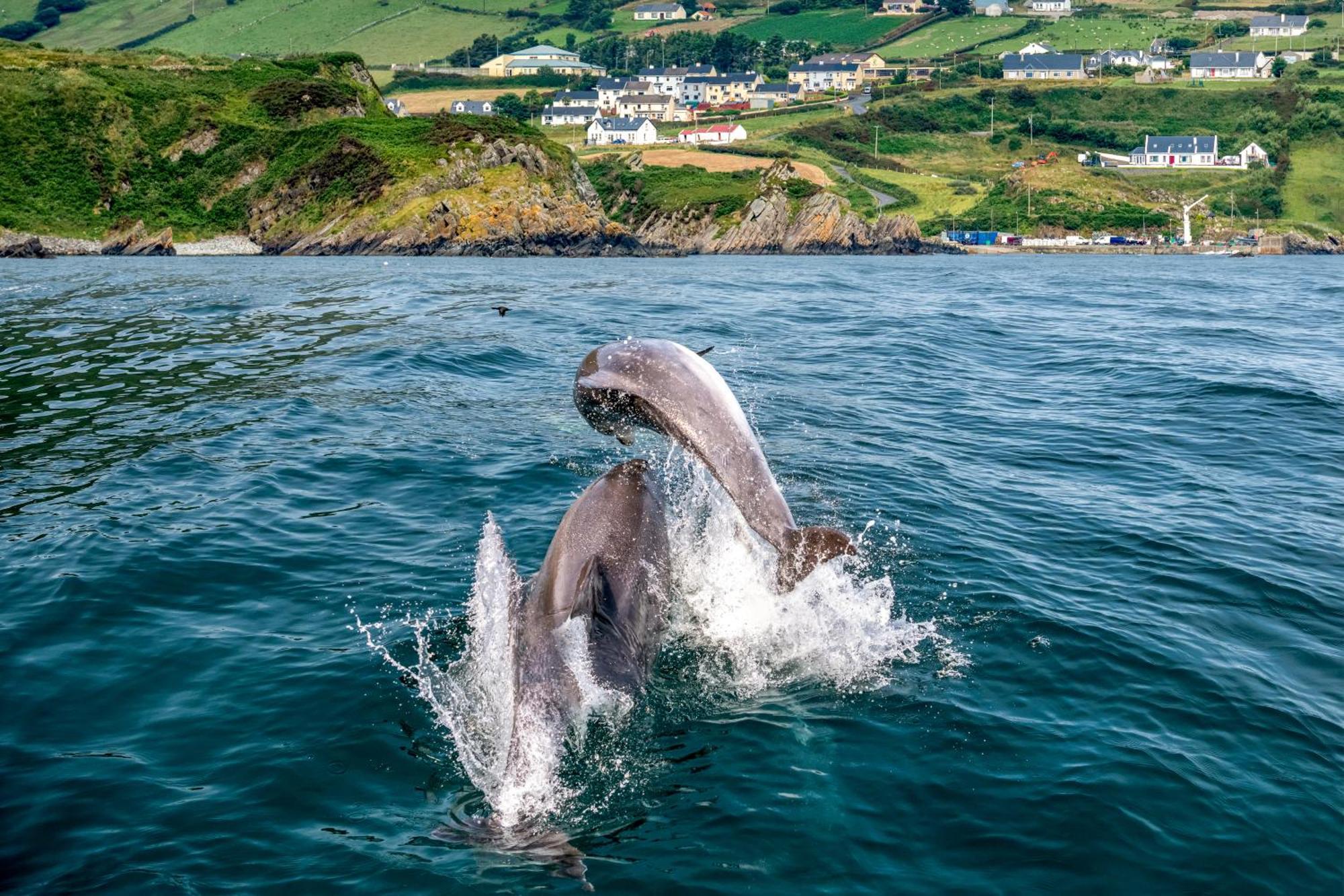 Vila Realt Na Mara Killybegs Exteriér fotografie
